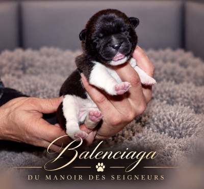 Balenciaga